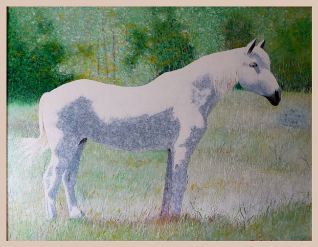 CABALLO BLANCO